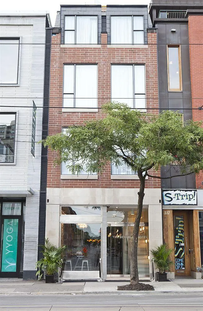 Sonder The Beverley Toronto 3*,  Canada